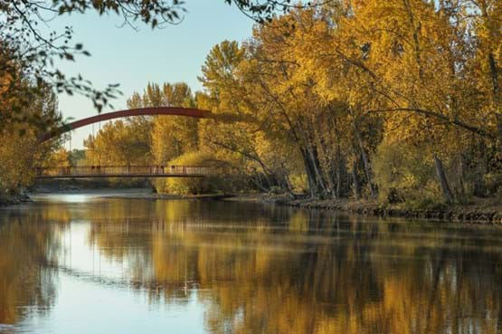 Bridge over a river