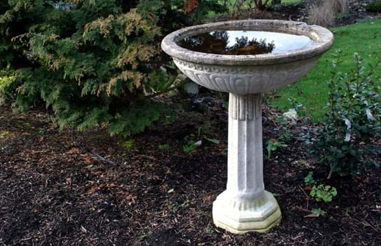 birdbath