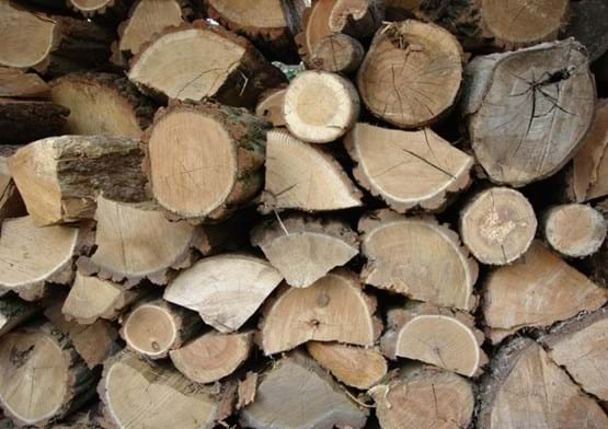 Wood pile