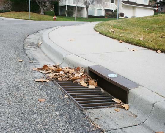 Leaves clogging a storm drain